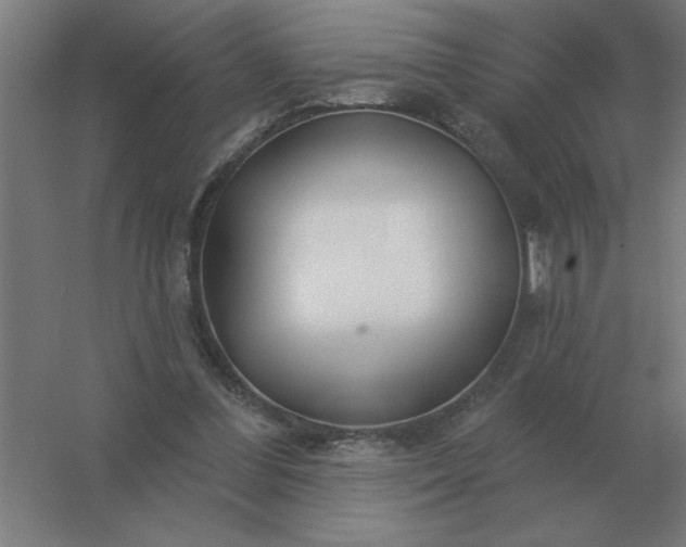 X0000054420300200508121758