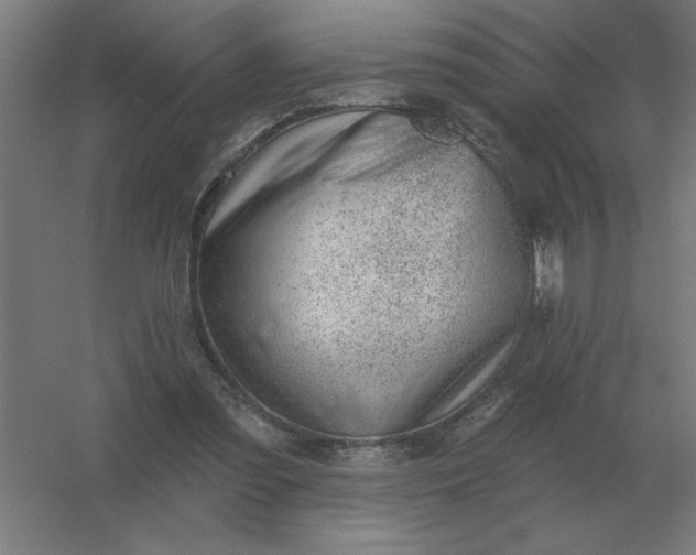 X0000054420301200508121758