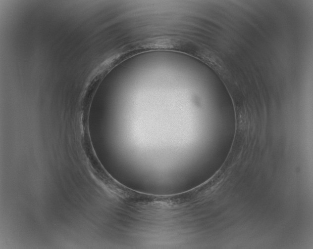 X0000054420302200508121758