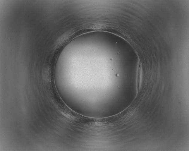 X0000054420303200508121758