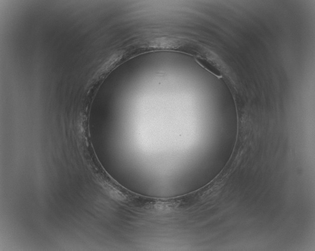 X0000054420305200508121758