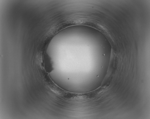 X0000054420307200508121758