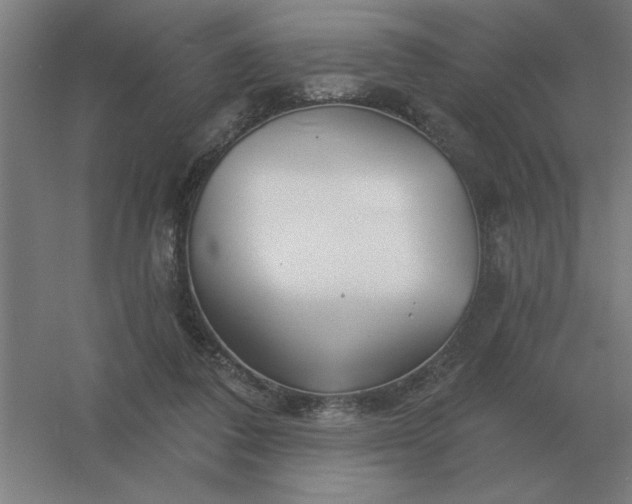 X0000054420308200508121758