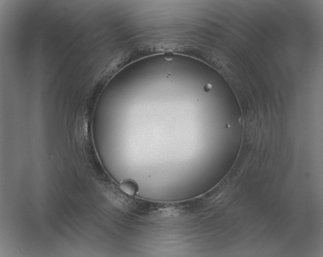 X0000054420310200508121758