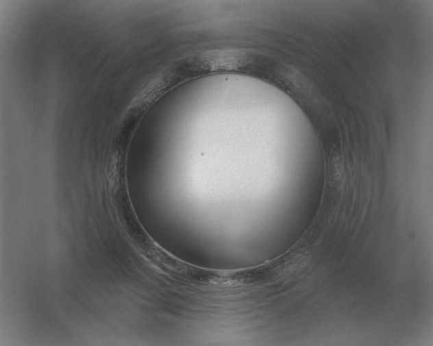 X0000054420311200508121758