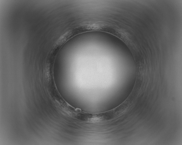 X0000054420312200508121758