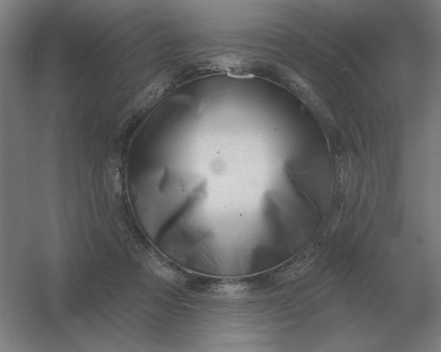 X0000054420313200508121758