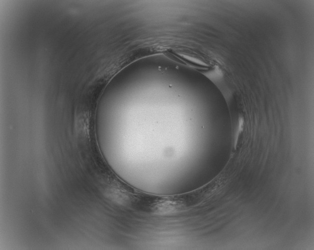 X0000054420315200508121758