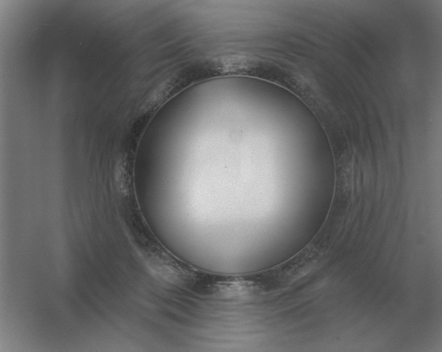 X0000054420316200508121758