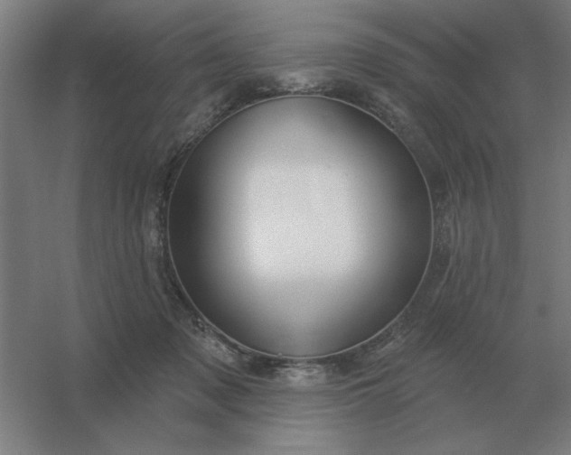 X0000054420317200508121758