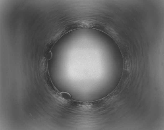 X0000054420318200508121758