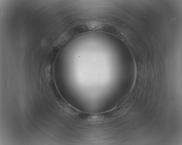 X0000054420319200508121758