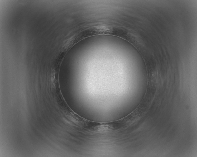 X0000054420320200508121758