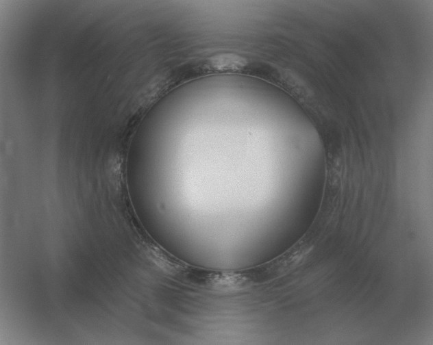 X0000054420321200508121758