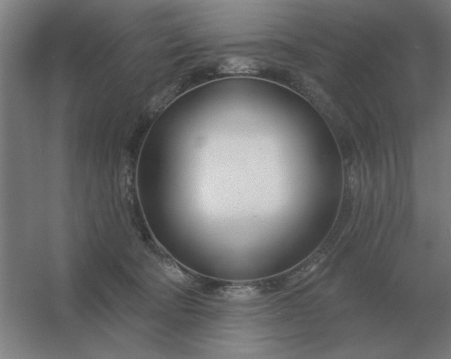 X0000054420322200508121758