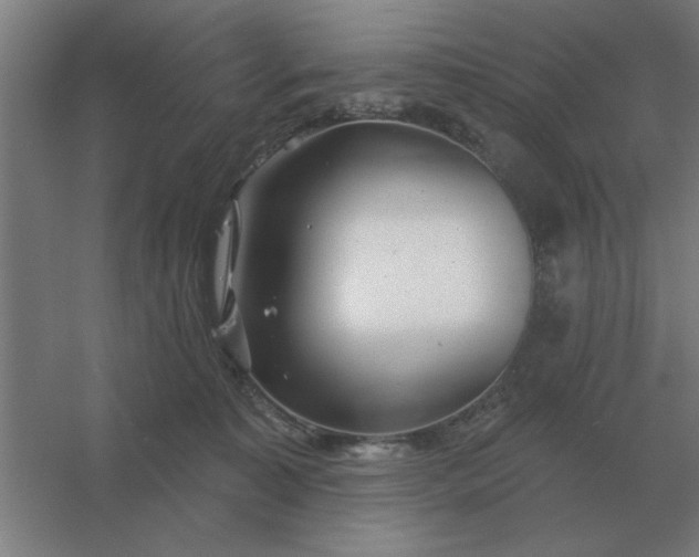 X0000054420323200508121758