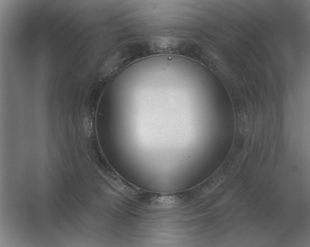 X0000054420324200508121758