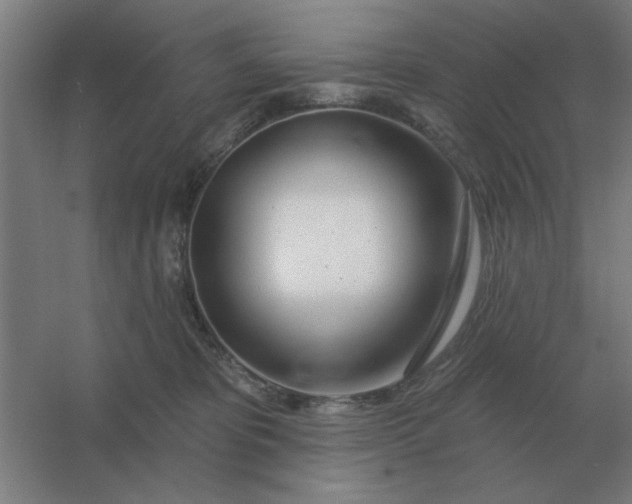 X0000054420325200508121758