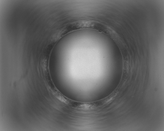 X0000054420326200508121758