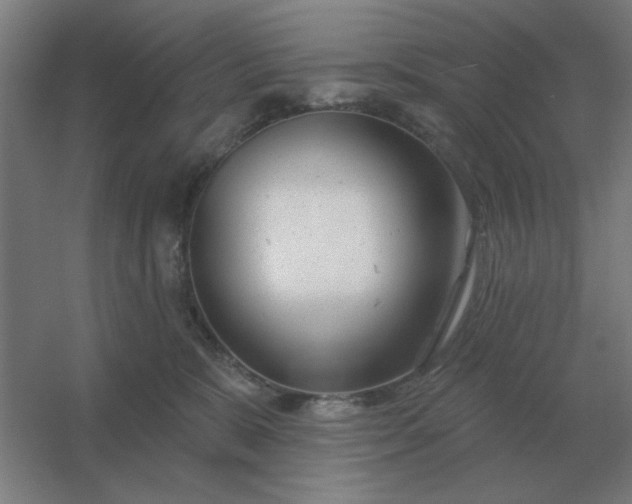 X0000054420327200508121758