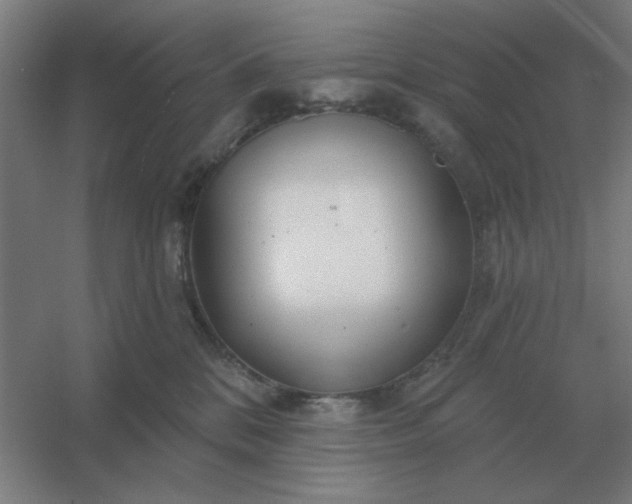 X0000054420328200508121758