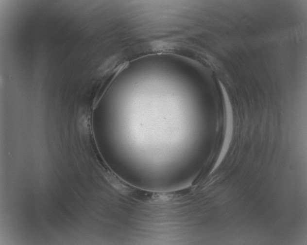 X0000054420329200508121758