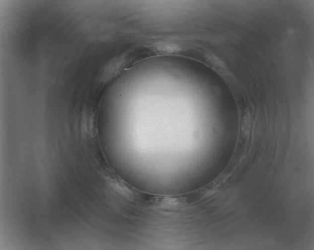 X0000054420330200508121758