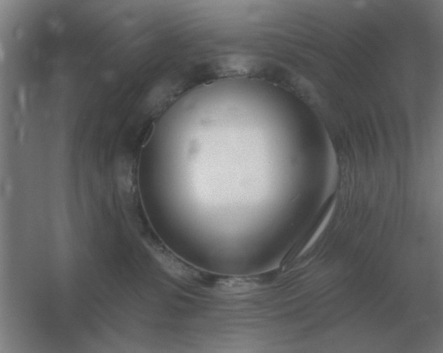 X0000054420331200508121758