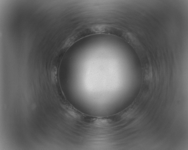 X0000054420332200508121758