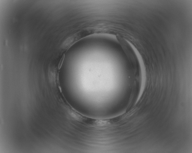 X0000054420333200508121758