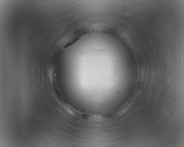 X0000054420334200508121758