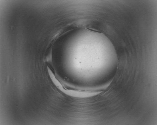 X0000054420335200508121758