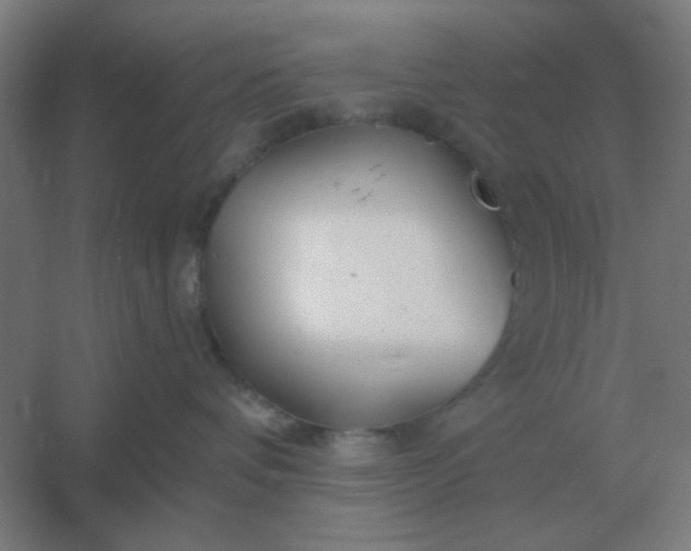 X0000054420336200508121758