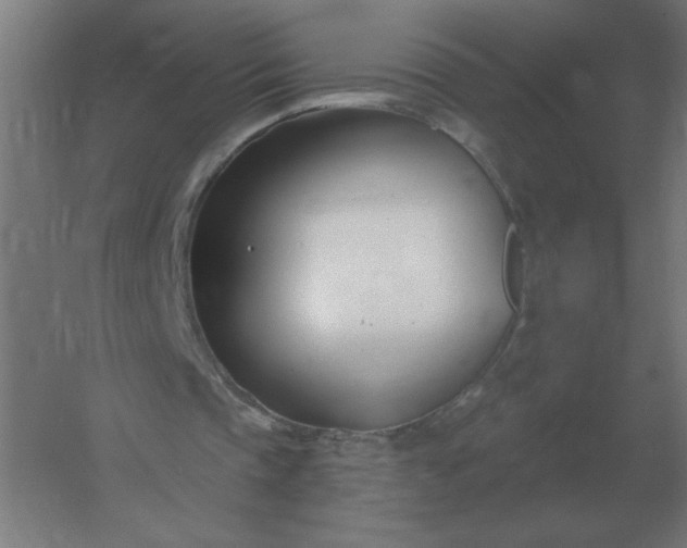 X0000054420337200508121757