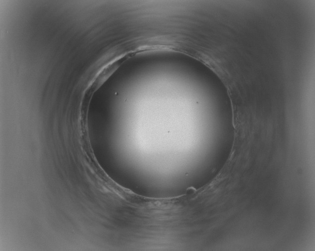 X0000054420338200508121757