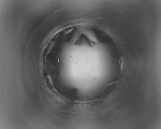 X0000054420339200508121757