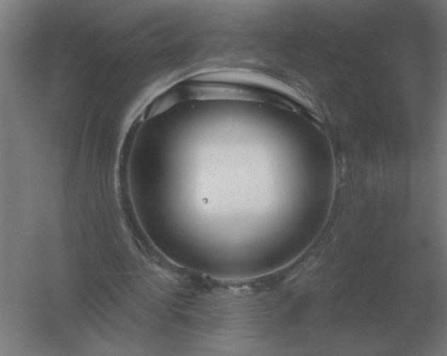 X0000054420340200508121757