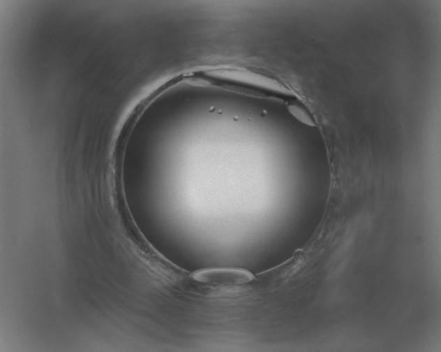 X0000054420342200508121757