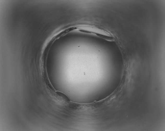 X0000054420343200508121757