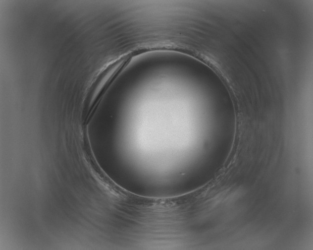 X0000054420345200508121757