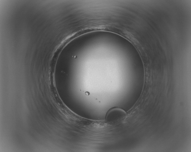 X0000054420346200508121757