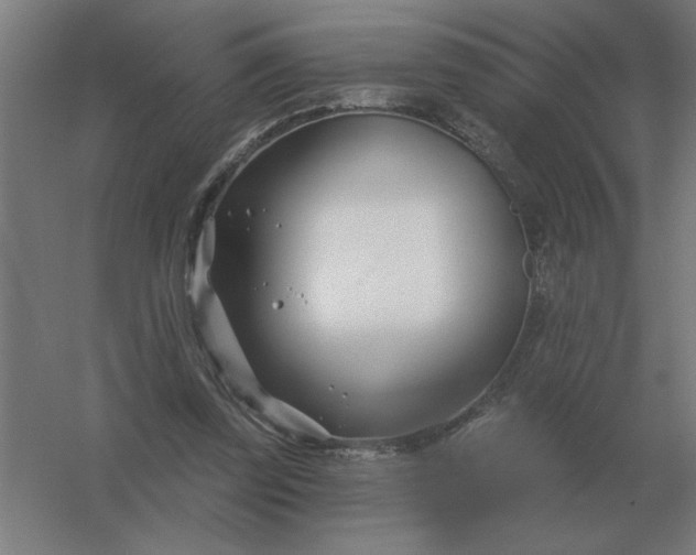 X0000054420347200508121757