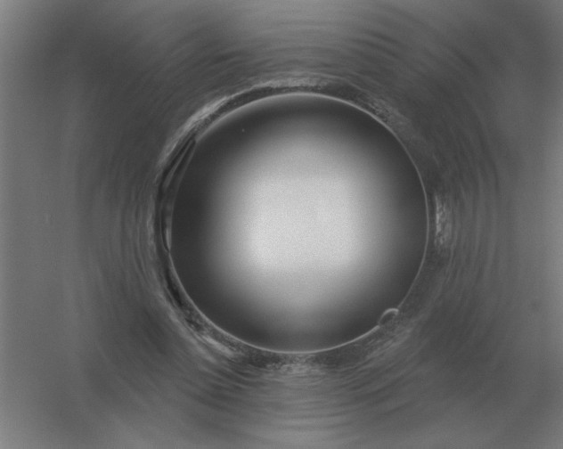 X0000054420348200508121757