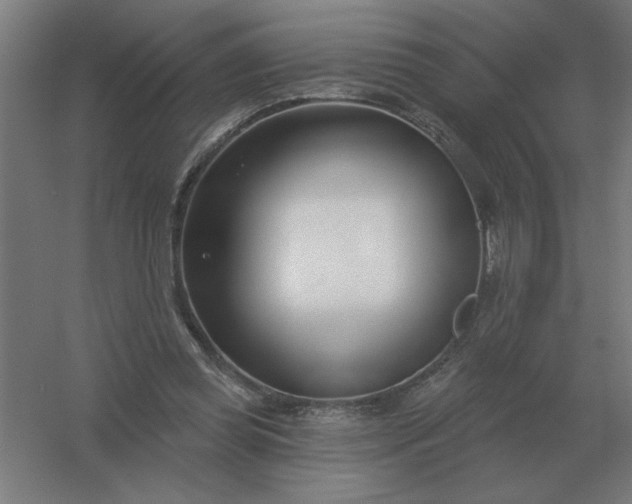 X0000054420349200508121757