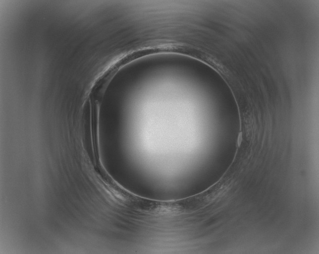 X0000054420350200508121757