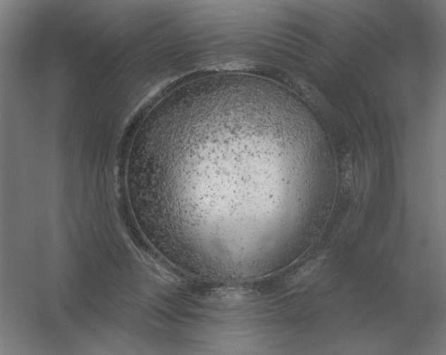 X0000054420351200508121757