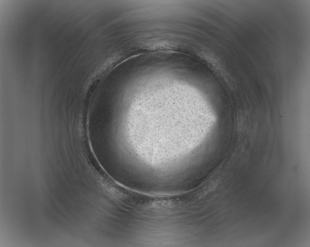 X0000054420353200508121757