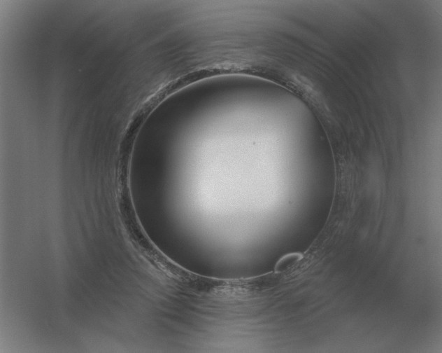 X0000054420354200508121757