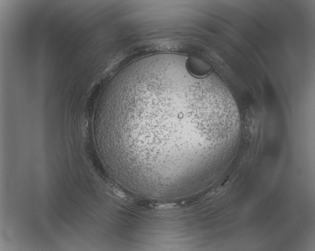 X0000054420355200508121757