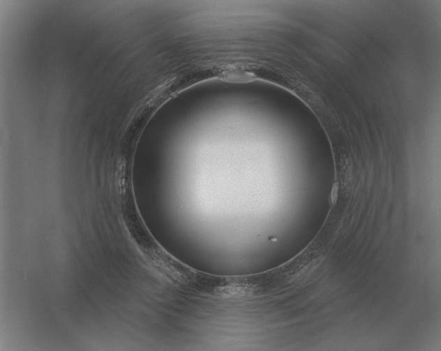 X0000054420356200508121757